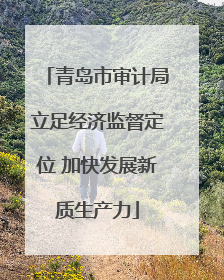 青岛市审计局立足经济监督定位 加快发展新质生产力
