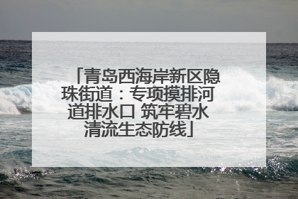 青岛西海岸新区隐珠街道：专项摸排河道排水口 筑牢碧水清流生态防线