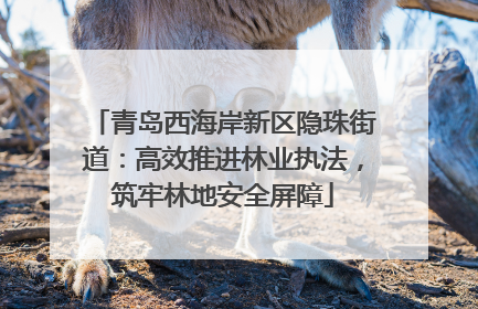 青岛西海岸新区隐珠街道：高效推进林业执法，筑牢林地安全屏障