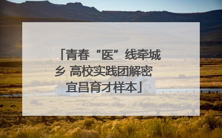 青春“医”线牵城乡 高校实践团解密宜昌育才样本