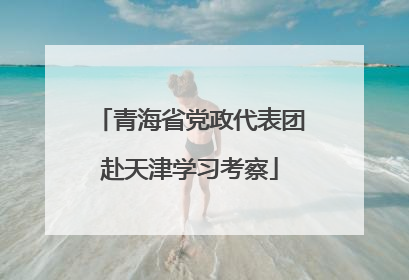 青海省党政代表团赴天津学习考察