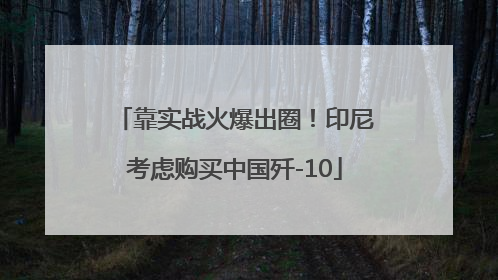 靠实战火爆出圈！印尼考虑购买中国歼-10