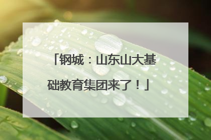 钢城：山东山大基础教育集团来了！