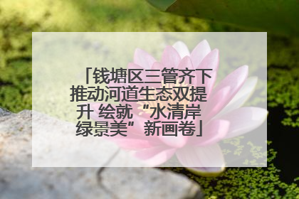 钱塘区三管齐下推动河道生态双提升 绘就“水清岸绿景美”新画卷