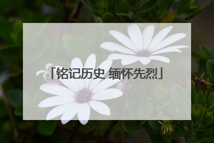 铭记历史 缅怀先烈