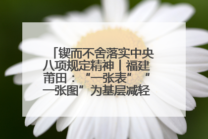 锲而不舍落实中央八项规定精神丨福建莆田：“一张表”“一张图”为基层减轻“数字负担”
