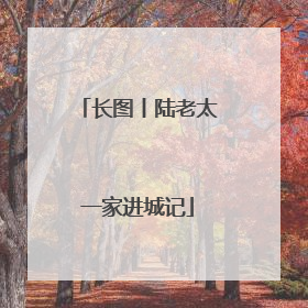 长图丨陆老太一家进城记