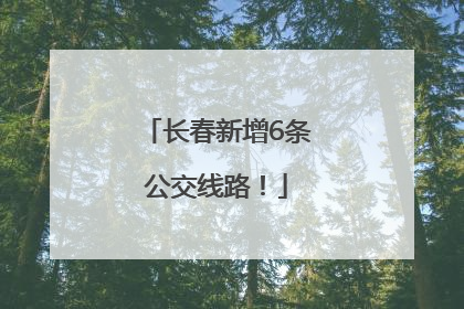 长春新增6条公交线路！