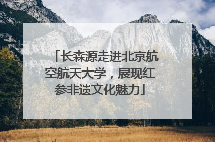 长森源走进北京航空航天大学，展现红参非遗文化魅力