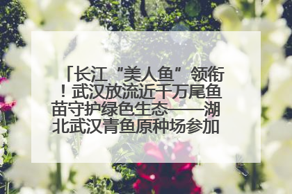 长江“美人鱼”领衔！武汉放流近千万尾鱼苗守护绿色生态——湖北武汉青鱼原种场参加2025年“全国放鱼日”增殖放流活动