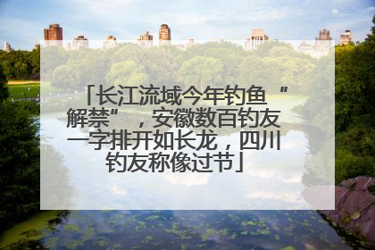 长江流域今年钓鱼“解禁”，安徽数百钓友一字排开如长龙，四川钓友称像过节