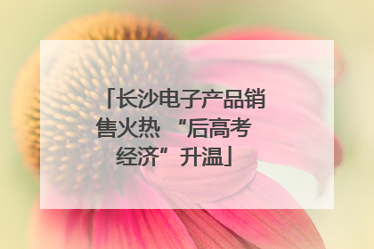 长沙电子产品销售火热 “后高考经济”升温