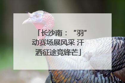 长沙南：“羽”动赛场展风采 汗洒征途竞锋芒