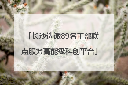 长沙选派89名干部联点服务高能级科创平台