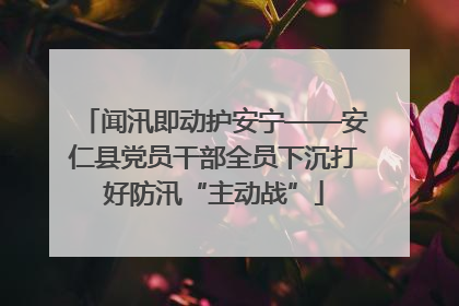闻汛即动护安宁——安仁县党员干部全员下沉打好防汛“主动战”