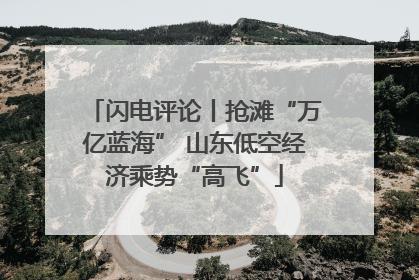 闪电评论丨抢滩“万亿蓝海” 山东低空经济乘势“高飞”