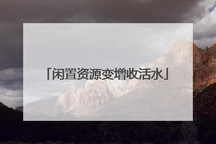 闲置资源变增收活水