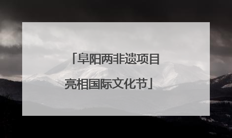 阜阳两非遗项目亮相国际文化节