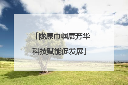 陇原巾帼展芳华 科技赋能促发展