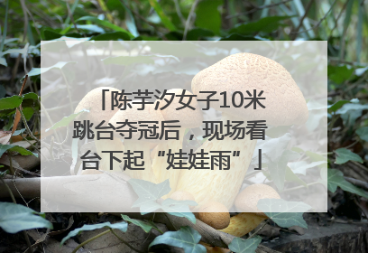 陈芋汐女子10米跳台夺冠后，现场看台下起“娃娃雨”