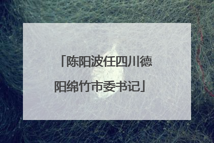 陈阳波任四川德阳绵竹市委书记