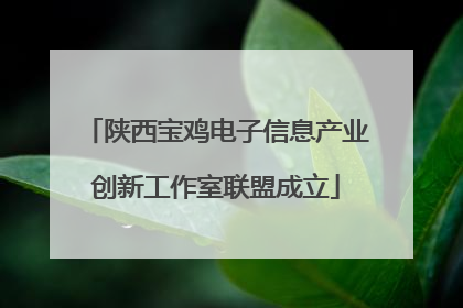 陕西宝鸡电子信息产业创新工作室联盟成立