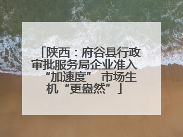 陕西：府谷县行政审批服务局企业准入“加速度” 市场生机“更盎然”