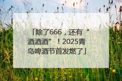 除了666，还有“酒酒酒”！2025青岛啤酒节首发燃了