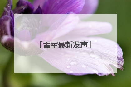 雷军最新发声