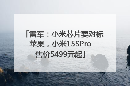 雷军：小米芯片要对标苹果，小米15SPro售价5499元起