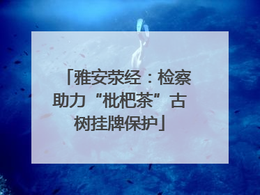 雅安荥经：检察助力“枇杷茶”古树挂牌保护