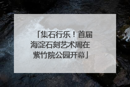 集石行乐！首届海淀石刻艺术周在紫竹院公园开幕