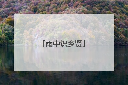 雨中识乡贤