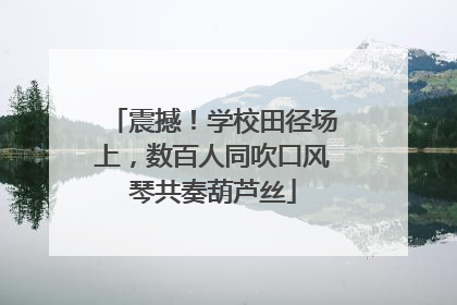 震撼！学校田径场上，数百人同吹口风琴共奏葫芦丝