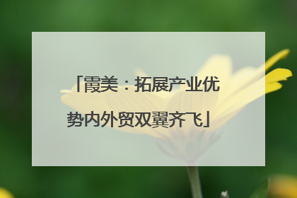 霞美：拓展产业优势内外贸双翼齐飞