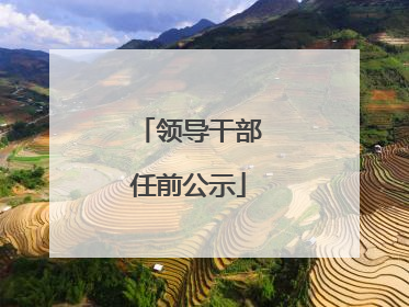 领导干部任前公示
