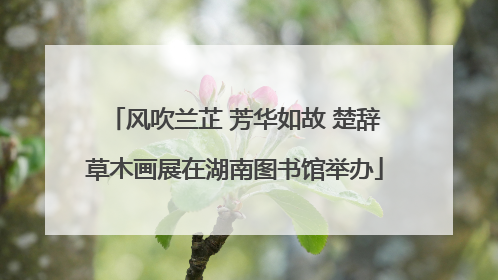 风吹兰芷 芳华如故 楚辞草木画展在湖南图书馆举办