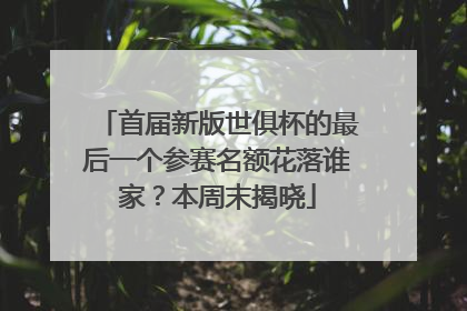 首届新版世俱杯的最后一个参赛名额花落谁家？本周末揭晓