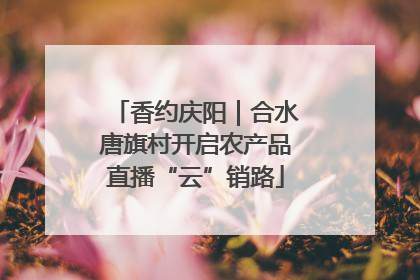 香约庆阳｜合水唐旗村开启农产品直播“云”销路