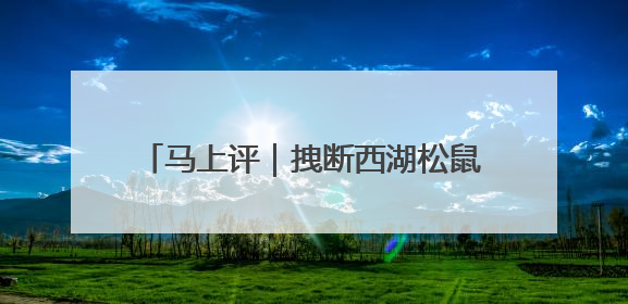 马上评｜拽断西湖松鼠尾巴，不只是不文明