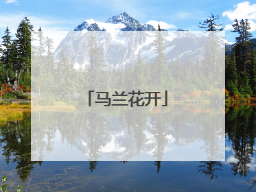 马兰花开