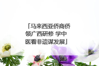 马来西亚侨商侨领广西研修 学中医看非遗谋发展