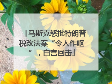 马斯克怒批特朗普税改法案“令人作呕”，白宫回击