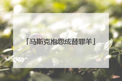 马斯克抱怨成替罪羊
