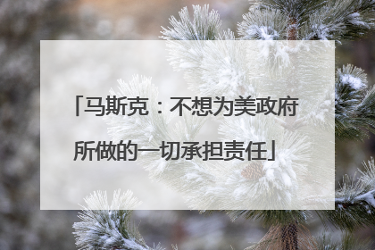 马斯克：不想为美政府所做的一切承担责任
