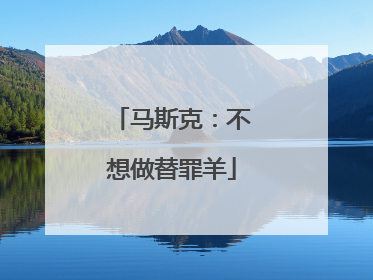 马斯克：不想做替罪羊