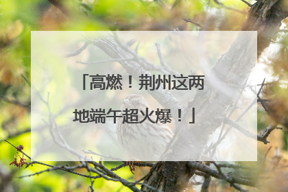 高燃！荆州这两地端午超火爆！