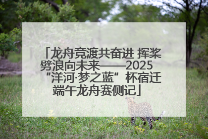 龙舟竞渡共奋进 挥桨劈浪向未来——2025“洋河·梦之蓝”杯宿迁端午龙舟赛侧记