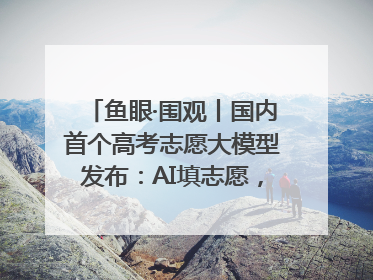 鱼眼·围观丨国内首个高考志愿大模型发布：AI填志愿，靠不靠谱？