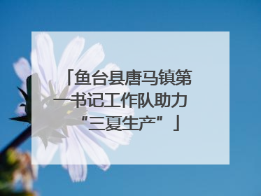 鱼台县唐马镇第一书记工作队助力“三夏生产”